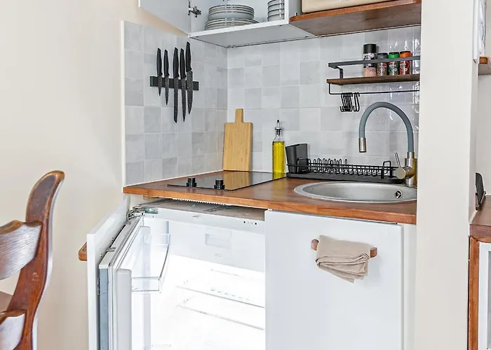 Champs-elysees Cosy アパート パリ